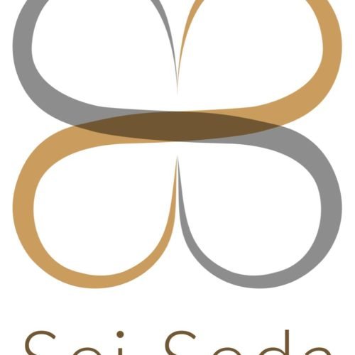 Press Release: Sei Seda